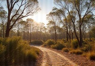 Remote Wilderness Landscape