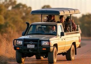 Australian Wildlife Safari